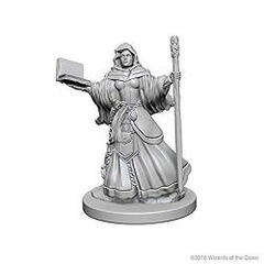 D&D® Nolzur’s Marvelous Miniatures: Human Female Wizard